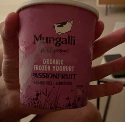 Organic frozen yogurt Passion fruit - Product - en